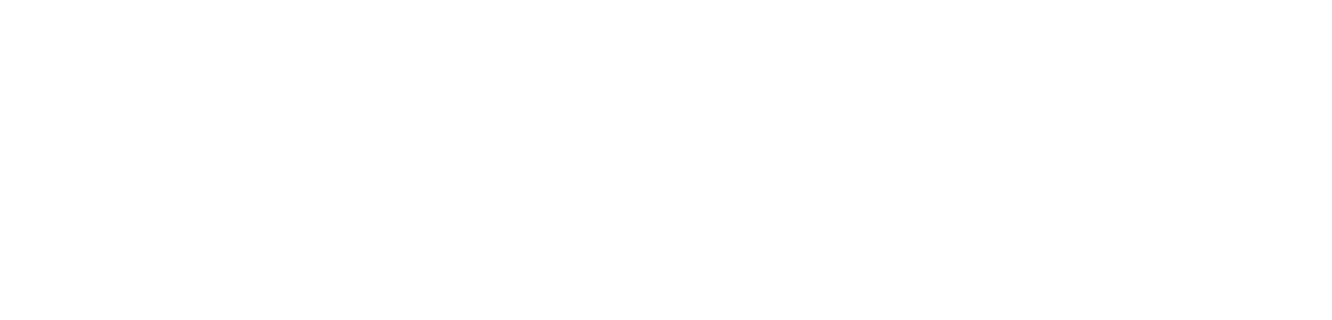 Form PPF — Paint Protection Film